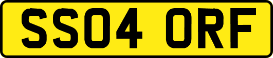 SS04ORF