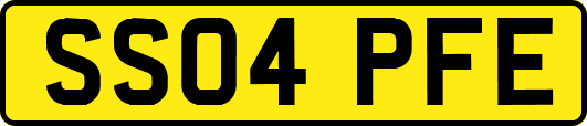 SS04PFE