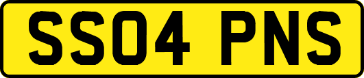 SS04PNS