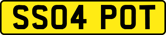 SS04POT