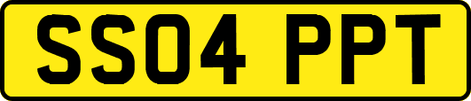 SS04PPT
