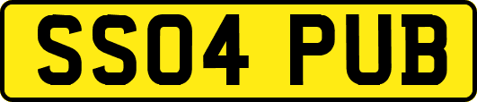 SS04PUB