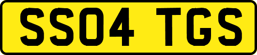 SS04TGS