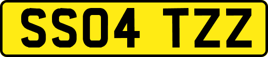 SS04TZZ