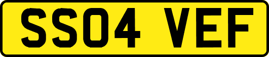 SS04VEF