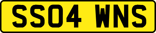 SS04WNS