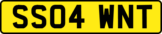 SS04WNT