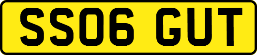 SS06GUT