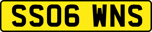 SS06WNS