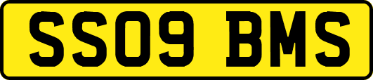 SS09BMS