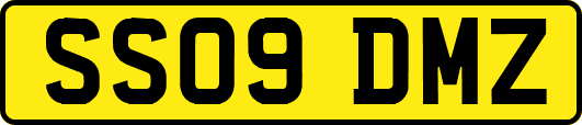 SS09DMZ