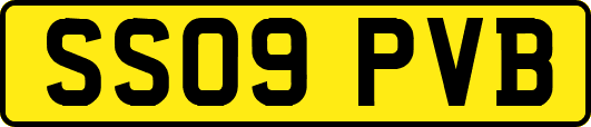 SS09PVB