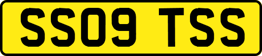 SS09TSS