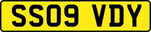 SS09VDY