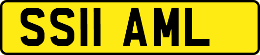 SS11AML