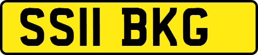 SS11BKG