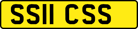 SS11CSS