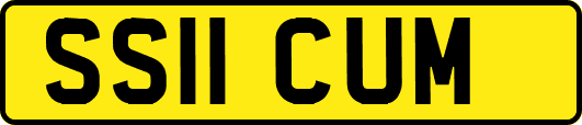 SS11CUM