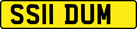 SS11DUM
