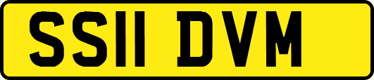 SS11DVM
