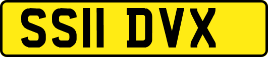 SS11DVX