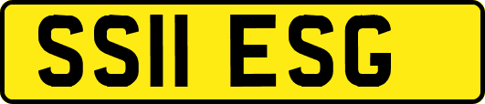 SS11ESG