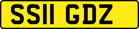 SS11GDZ