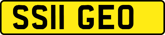 SS11GEO