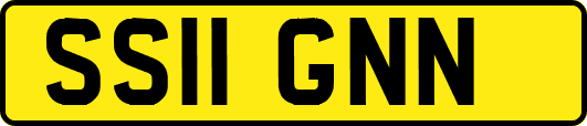 SS11GNN