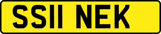SS11NEK