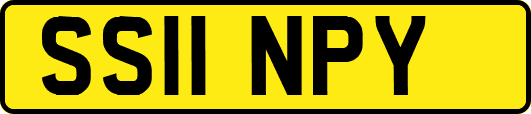 SS11NPY