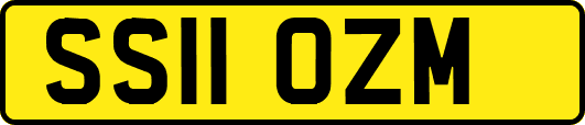SS11OZM