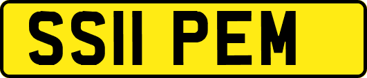 SS11PEM