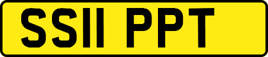 SS11PPT