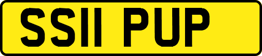 SS11PUP