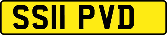 SS11PVD