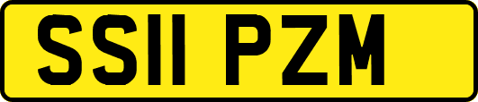 SS11PZM