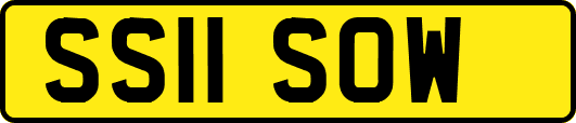 SS11SOW