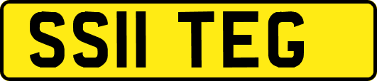 SS11TEG