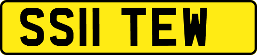 SS11TEW