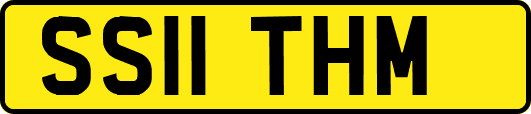 SS11THM