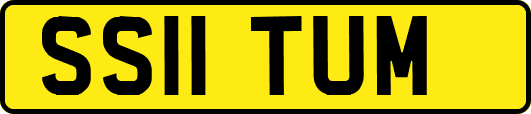 SS11TUM