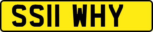 SS11WHY