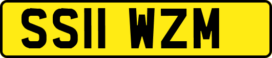 SS11WZM