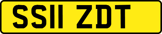 SS11ZDT