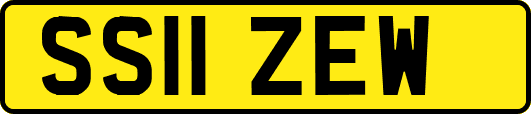 SS11ZEW