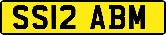 SS12ABM