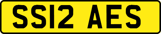 SS12AES
