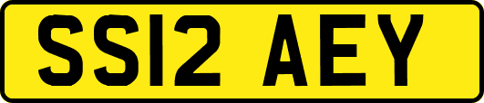 SS12AEY