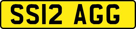 SS12AGG